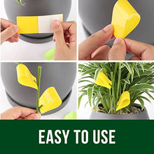 Load image into Gallery viewer, Garsum 21 Traps Sticky Houseplant Traps Gnat Yellow Insect Trap Indoor Fruit Fly Stakes Trap