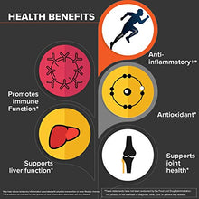 Load image into Gallery viewer, Qunol Turmeric Curcumin Instant Drink Mix, On-The-Go Packets, Orange Flavor, Ultra High Absorption, 500mg Turmeric + 50mg Ginger, Anti-Inflammatory & Joint Support, Dietary Supplement, 15 Servings