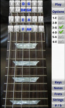 Load image into Gallery viewer, Electric Guitar Fretboard Addict Free