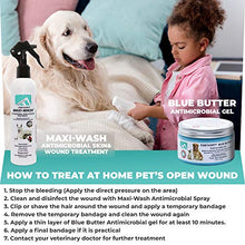 Load image into Gallery viewer, Forticept Maxi-Wash Antiseptic Antifungal Antibacterial Medicated Itch Relief Hot Spot Spray for Dogs & Cats|First Aid Skin and Paw Cleanser | Wounds Treatment 8 oz