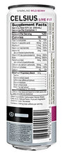 Load image into Gallery viewer, CELSIUS Essential Energy Drink 12 Fl Oz, Sparkling Wild Berry (Pack of 24)