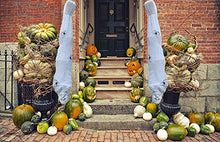Load image into Gallery viewer, 4E’s Novelty Hanging Cocoon Corpse Prop | Halloween Scary Decorations Outdoor | 60 Inch/5 Ft Scary Hanging Skeleton Mummy with Spider, Flexible - for Haunted House, Yard Decor, Graveyard Scene