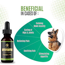 Load image into Gallery viewer, Billion Pets - Hemp Oil for Dogs Cats - Separation Anxiety, Joint Pain, Stress Relief, Arthritis, Seizures, Chronic Pains, Anti-Inflammatory - Omega 3, 6, 9-100% Organic - Calming Drops