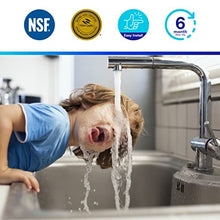 Load image into Gallery viewer, 3M Aqua-Pure Whole House Scale Inhibition Inline Water System AP430SS, Helps Prevent Scale Build Up On Hot Water Heaters and Boilers