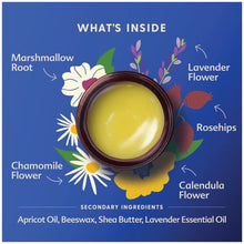 Load image into Gallery viewer, Motherlove Pregnant Belly Salve (4 oz) Herbal Balm to Soothe Itchy Skin & Prevent Stretch Marks—Non-GMO & Organic Herbs