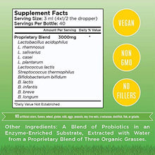 Load image into Gallery viewer, Vegan Immunity Vitamins Bundle for Kids & Adults by MaryRuth's- USDA Organic Probiotics, Morning Multivitamin, Elderberry Extract & Immunity Gummies - Non-GMO Vegan Sugar Free 30-60 Day Supply