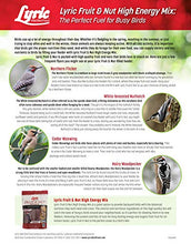 Load image into Gallery viewer, Lyric Fruit and Nut Wild Bird Seed, High Energy Wild Bird Food Mix, 20 lb. Bag