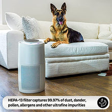 Load image into Gallery viewer, Instant Air Purifier, Helps remove 99.9% of viruses (COVID-19), bacteria, allergens, smoke; advanced 3-in-1 HEPA-13 filtration with plasma ion technology, Large Room (AP300), Pearl