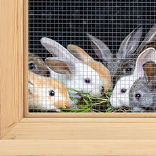 Load image into Gallery viewer, Amagabeli 48x50 Hardware Cloth 1/4 inch Square Galvanized Chicken Wire Welded Fence Mesh Roll Raised Garden Bed Plant Supports Poultry Netting Cage Wire Snake Fence