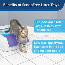 Load image into Gallery viewer, PetSafe PAL00-14242 ScoopFree Original Self-Cleaning Cat Litter Box - Automatic with Disposable Tray and Non-Clumping Crystal Litter - Purple