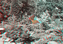 Load image into Gallery viewer, AROUND THE WORLD IN DUOCOLOR 3D