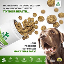 Load image into Gallery viewer, Doggie Dailies Probiotics for Dogs, 225 Soft Chews, Advanced Dog Probiotics with Prebiotics, Promotes Digestive Health, Supports Immune System and Overall Health (Pumpkin)