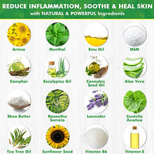 Load image into Gallery viewer, Ebanel Pain Relief Roll On, 3.56 Oz Arnica Menthol Arthritis Pain Relief Muscle Rub with MSM, Emu Oil, Hemp Oil, Anti Inflammatory Cream with Camphor, Boswellia for Back Pain, Neck Shoulder Joint Pain