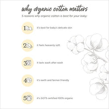 Load image into Gallery viewer, Burt's Bees Baby - Unisex Sleep & Play, Organic Pajamas, NB - 9M One-Piece Zip Up Footed PJ Jumpsuit