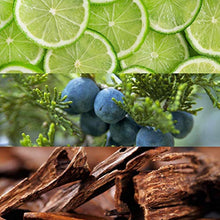 Load image into Gallery viewer, Lacoste Pour Homme Eau de Toilette - Men's fragrance - 3.3 Fl Oz