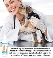 Load image into Gallery viewer, Dog Breath Freshener: Eliminate Bad Breath and Prevent Oral Disease in Dogs and Cats - Teeth Cleaning Spray with Aloe Vera - Plaque and Tartar Remover, Oral Hygiene for Pets (Net 4 FL OZ (118 ml)) x1