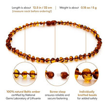 Load image into Gallery viewer, Amber Guru Baltic Amber Necklace (Authentic, Certified) - 12.5 inches - Unisex Jewelry - Cognac (Polished) - Real "Baby-Sized" Amber Beads - Proud to Deliver Genuine Baltic Sea Wonder - Ambar