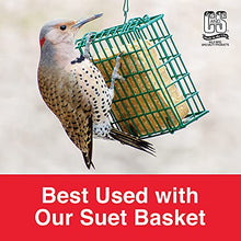 Load image into Gallery viewer, C&S Wild Bird High Energy Suet Treat 56 Ounces, 6 Pack