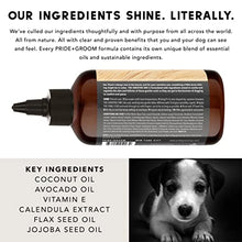 Load image into Gallery viewer, Pride and Groom The Sensitive One Dog Shampoo – All Natural Blend of Essential Oils & Gentle Ingredients for Puppies & Dogs with Sensitive Skin & Coats to Soothe and Regulate Skin & Follicles – 16oz