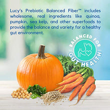 Load image into Gallery viewer, Lucy Pet Formulas for Life - Sensitive Stomach & Skin Dry Dog Food, All Breeds & Life Stages - Salmon, Pumpkin, & Quinoa