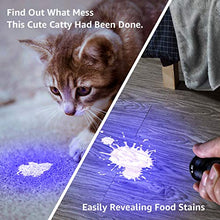 Load image into Gallery viewer, LE Black Light Flashlight, Small UV Lights 395nm, Portable Ultraviolet Light Detector for Invisible Ink Pens, Dog Cat Pet Urine Stain, AAA Batteries Included