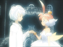 Load image into Gallery viewer, Princess Tutu