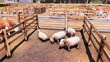 Load image into Gallery viewer, Real Farm - Xbox One