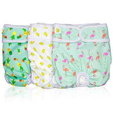 Load image into Gallery viewer, Pet Magasin Reusable Dog Diapers Sanitary Wraps, 3-Pack, Trending, Medium