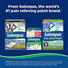 Load image into Gallery viewer, Salonpas Pain Relieving Patch for Back, Neck, Shoulder, Knee Pain and Muscle Soreness - 8 Hour Pain Relief - 60 Count