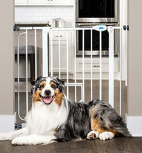Load image into Gallery viewer, Carlson Extra Wide Walk Through Pet Gate with Small Pet Door, Includes 4-Inch Extension Kit, Pressure Mount Kit and Wall Mount Kit