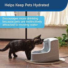 Load image into Gallery viewer, PetSafe Drinkwell Mini Pet Fountain for Cats and Small Dogs – Filtered Water – Filter Included, PWW00-14402