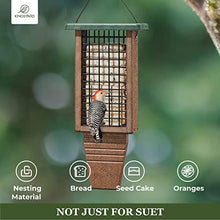 Load image into Gallery viewer, Kingsyard Recycled Plastic Suet Bird Feeder, Double Capacity Tail-Prop Suet Feeder for Outside Hanging, Sturdy & Durable, Great for Woodpecker & Clinging Birds, Green