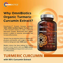 Load image into Gallery viewer, Organic Turmeric Curcumin Supplement 1500mg with BioPerine | 95% Standardized Curcuminoid Extract & Organic Root Powder with Piperine Black Pepper Fruit (10mg), 120 Vegetarian Capsules