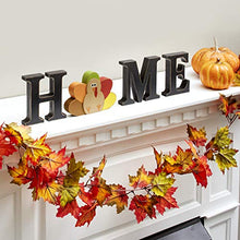 Load image into Gallery viewer, The Lakeside Collection Wooden Decorative Home Signs with Letters, Pumpkin, Turkey, Snowflake - 13 Pc.
