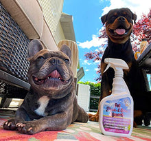 Load image into Gallery viewer, Pet Stain & Odor Miracle - The Best Enzyme Cleaner for Dog Urine Cat Pee Feces Vomit, Enzymatic Solution Cleans Carpet Rug Car Upholstery Couch Mattress Furniture, Natural Eliminator (S/M 32FL OZ)