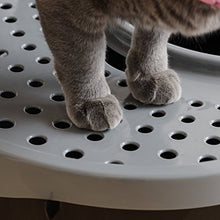 Load image into Gallery viewer, IRIS USA Top Entry Cat Litter Box with Cat Litter Scoop TECL-20