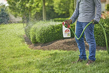 Load image into Gallery viewer, Ortho Home Defense 32Oz Rts Hd Insct Killer, 32 oz,