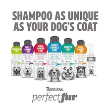 Load image into Gallery viewer, TropiClean PerfectFur Curly & Wavy Coat Shampoo for Dogs, 16oz - Made in USA - Naturally Derived - Curly & Wavy Coat Formula - Detangling & Dematting on Thick Fur & Wiry Breeds Like Poodles & Bichons