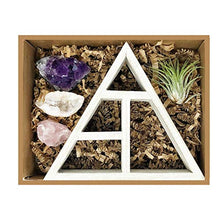 Load image into Gallery viewer, people crystals Mini Crystal + Air Plant Gift Set/Includes a 4.75” Mini Display Shelf, Tillandsia Air Plant, Purple Amethyst Cluster, Raw Rose Quartz, and Clear Quartz Point, Home décor Accent.
