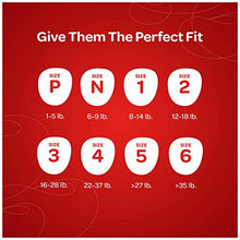 Load image into Gallery viewer, Huggies Little Snugglers Baby Diapers