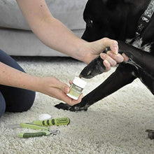 Load image into Gallery viewer, Coastal Pet Products DCPW6112 Stainless Steel Safari Diamond Dog Nail File