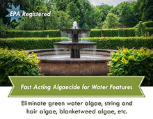 Load image into Gallery viewer, Fountain Algaecide and Clarifier - 64oz - Kills and Inhibits All Types of Algae Growth, Formulated for Small Ponds and Water Features, Treats up to 64,000 Gallons