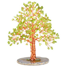 Load image into Gallery viewer, mookaitedecor Peridot Crystal Tree Tumbled Stones, Geode Agate Slices Base Money Tree Decoration for Wealth and Luck 5"-6"