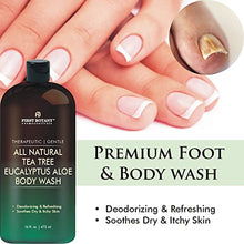 Load image into Gallery viewer, ALL Natural Tea Tree Body Wash - Fights Body Odor, Athlete’s Foot, Jock Itch, Nail Issues, Dandruff, Acne, Eczema, Shower Gel for Women & Men, Eucalyptus Aloe Skin Cleanser/body soap-16 fl oz
