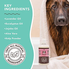 Load image into Gallery viewer, Natural Dog Company Itchy Dog Shampoo (12 oz) Bundle with Wild Alaskan Salmon Oil (16 oz) | Hypoallergenic Shampoo and Sensitive Skin Supplement | Soothing Relief for Recurring Skin Conditions