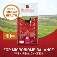 Load image into Gallery viewer, Purina ONE Natural Dry Dog Food, SmartBlend Chicken & Rice Formula - 40 lb. Bag
