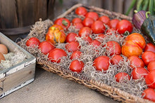 Load image into Gallery viewer, SuperMoss (26914) Spanish Moss Preserved, Natural, 8oz (200 cubic inch)