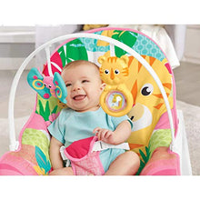 Load image into Gallery viewer, Fisher-Price Infant-to-Toddler Rocker