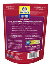 Load image into Gallery viewer, Lucy Pet Hip To Be Square Salmon And Pumpkin Dog Treats 6Oz
