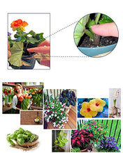 Load image into Gallery viewer, EarthPods Premium Garden Herbs & Vegetable Plant Food – Easy Organic Fertilizer Spikes – 100 Count – Supports Healthy Root & Leaf Growth (Great for Kitchen Herbs & Lettuce Garden, Ecofriendly)